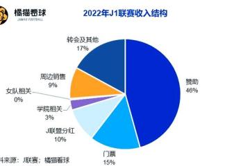 开云体育在线-突发足球财务危机扼杀球队竞争力
