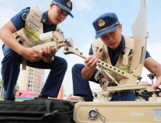 开云体育中国-江苏蜜蜂对决武汉黄鹂队，实力对比明显的简单介绍