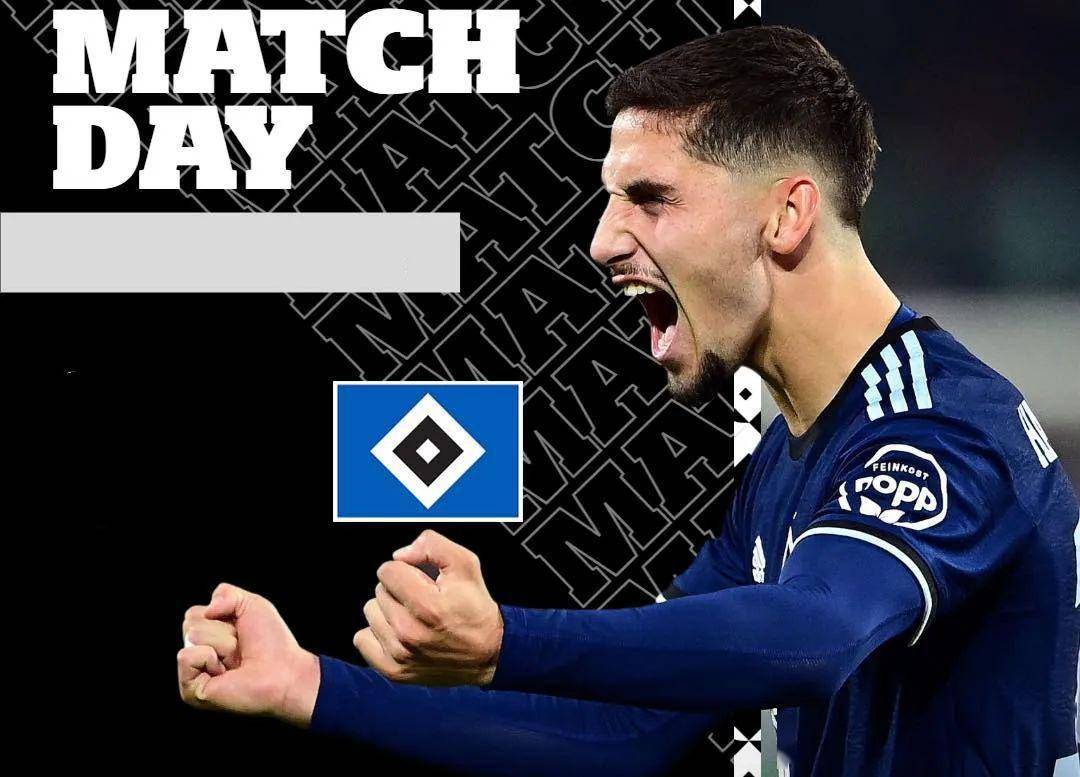 开云体育官方网站-汉堡客场失利,追逐胜利目标无果